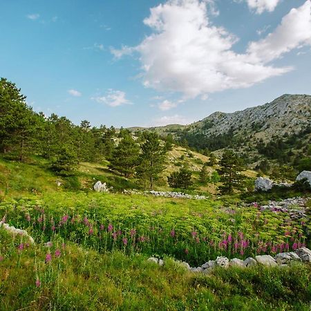 Apartmán Apartman Magdalena Makarská Exteriér fotografie