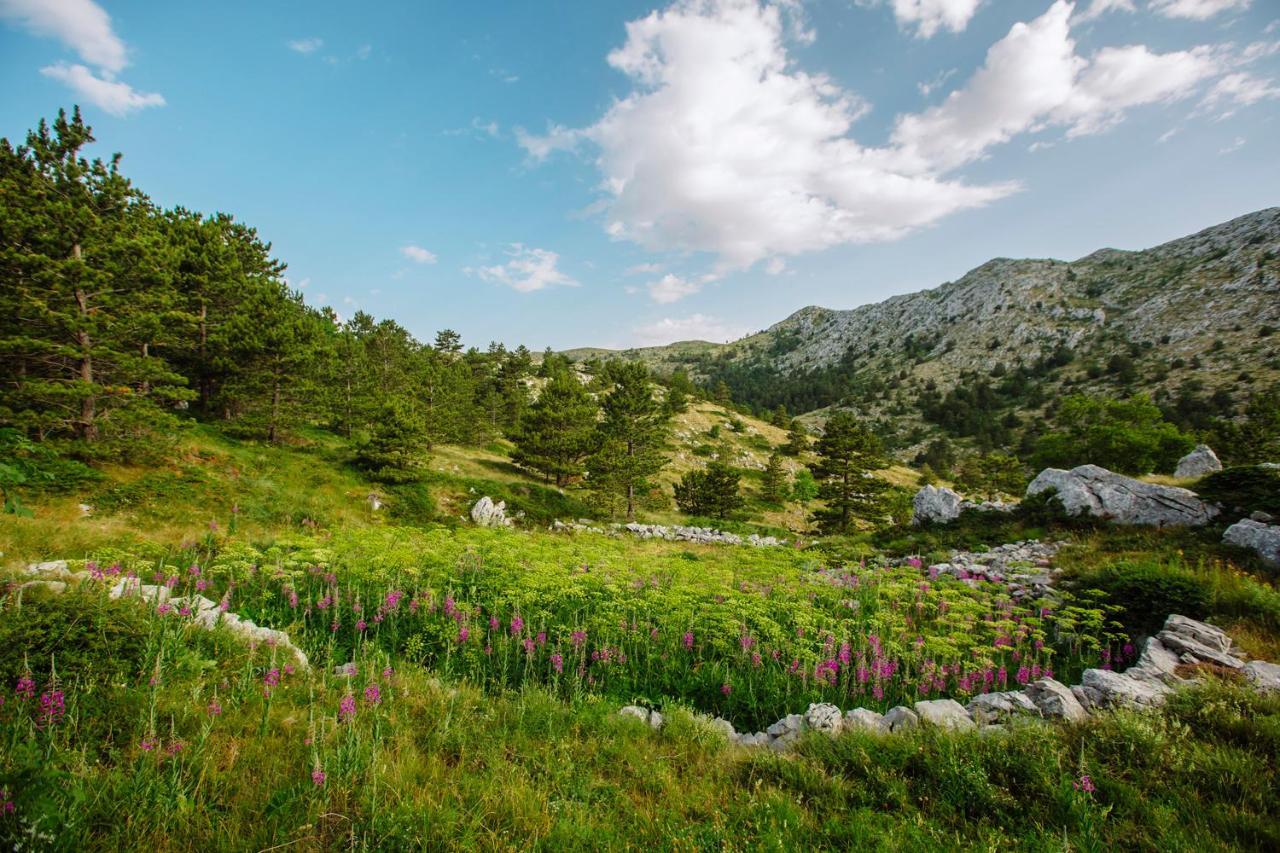 Apartmán Apartman Magdalena Makarská Exteriér fotografie